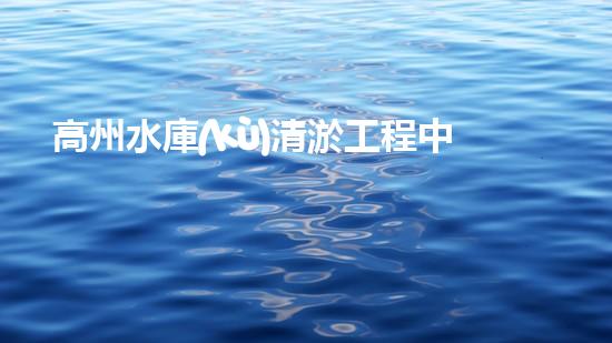 高州水庫(kù)清淤工程中標(biāo)單位公示清淤工程的關(guān)鍵技術(shù)與實(shí)踐探索你明白多少？